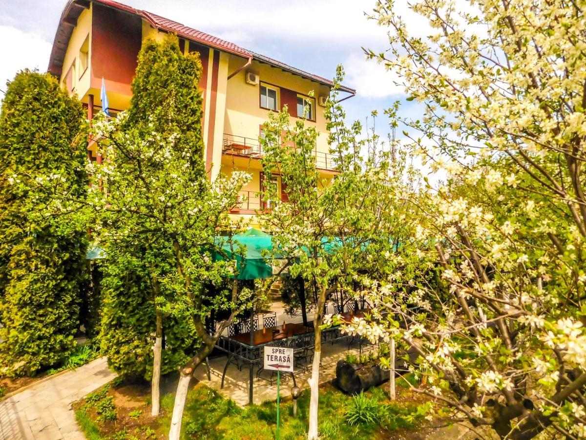Vila Europa Cluj-Napoca Exterior photo